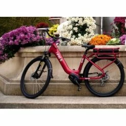 T-Bird Bora-Bora -VTC électriques Ventes 2023 vae modele t bird bora bora 2