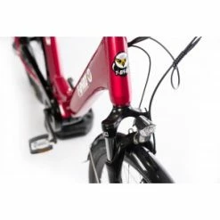 T-Bird Bora-Bora -VTC électriques Ventes 2023 vae modele t bird bora bora 3