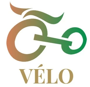 VTC électriques Ventes 2023